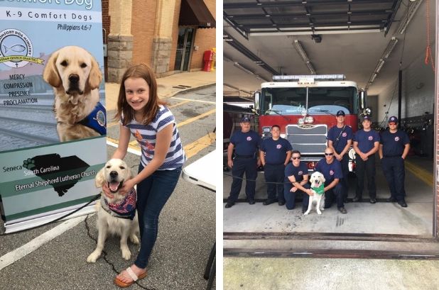 Eslc K 9 Comfort Dog