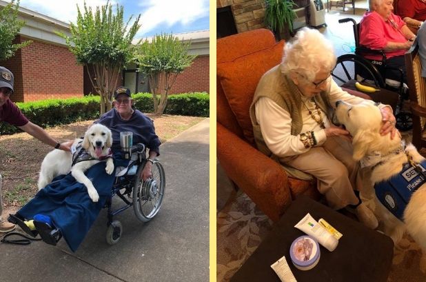 Eslc K 9 Comfort Dog