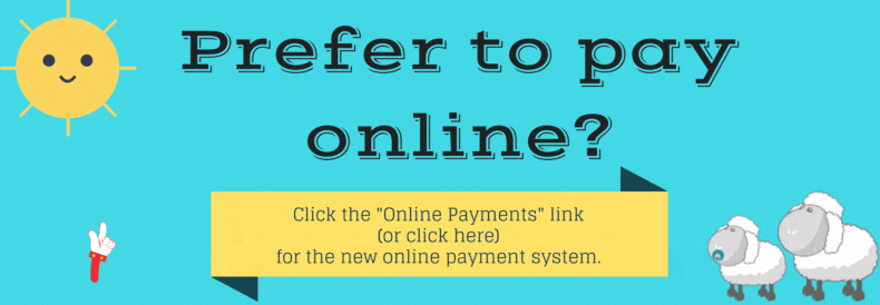 Online Payment System
