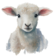 Little Lambs Preschool