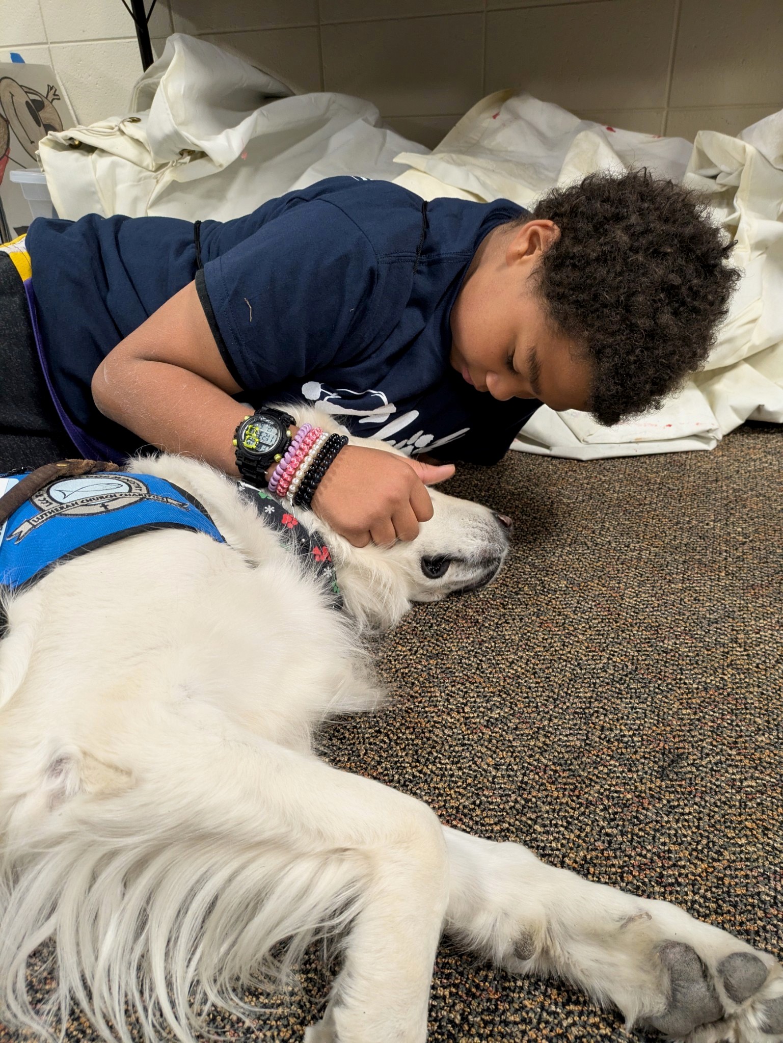 Seth the Comfort Dog in ministry.