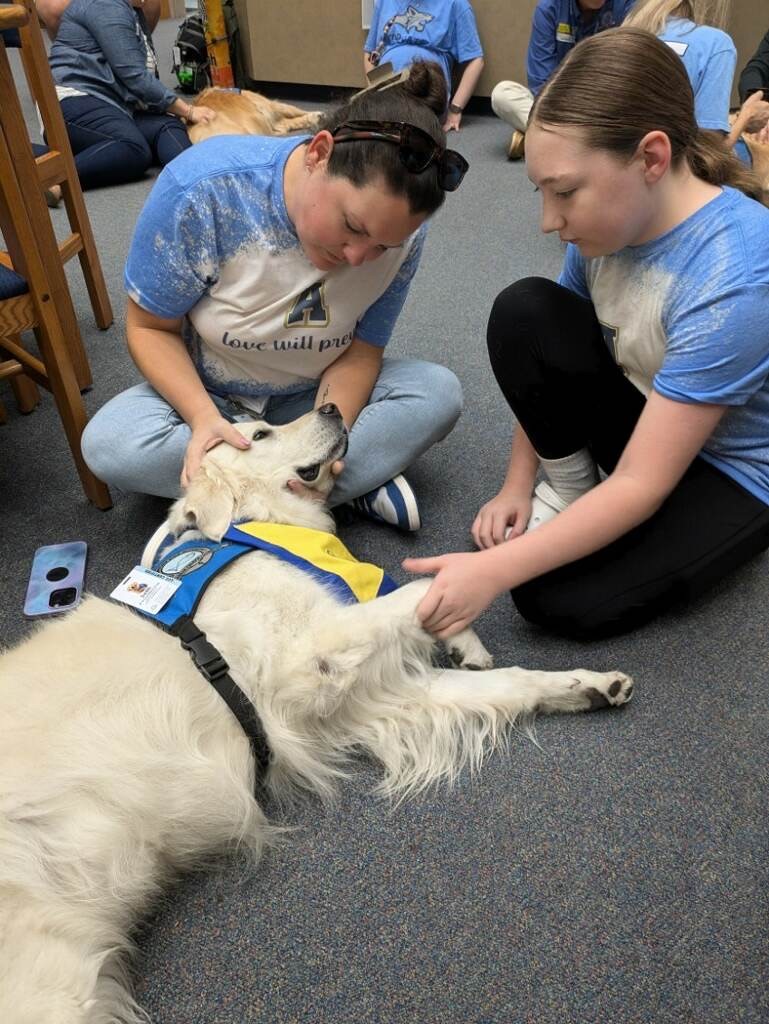 Seth the Comfort Dog in ministry.