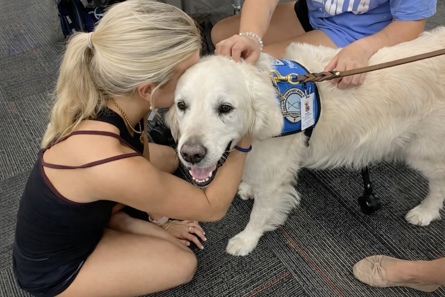 Comfort Dog Team 2 photo