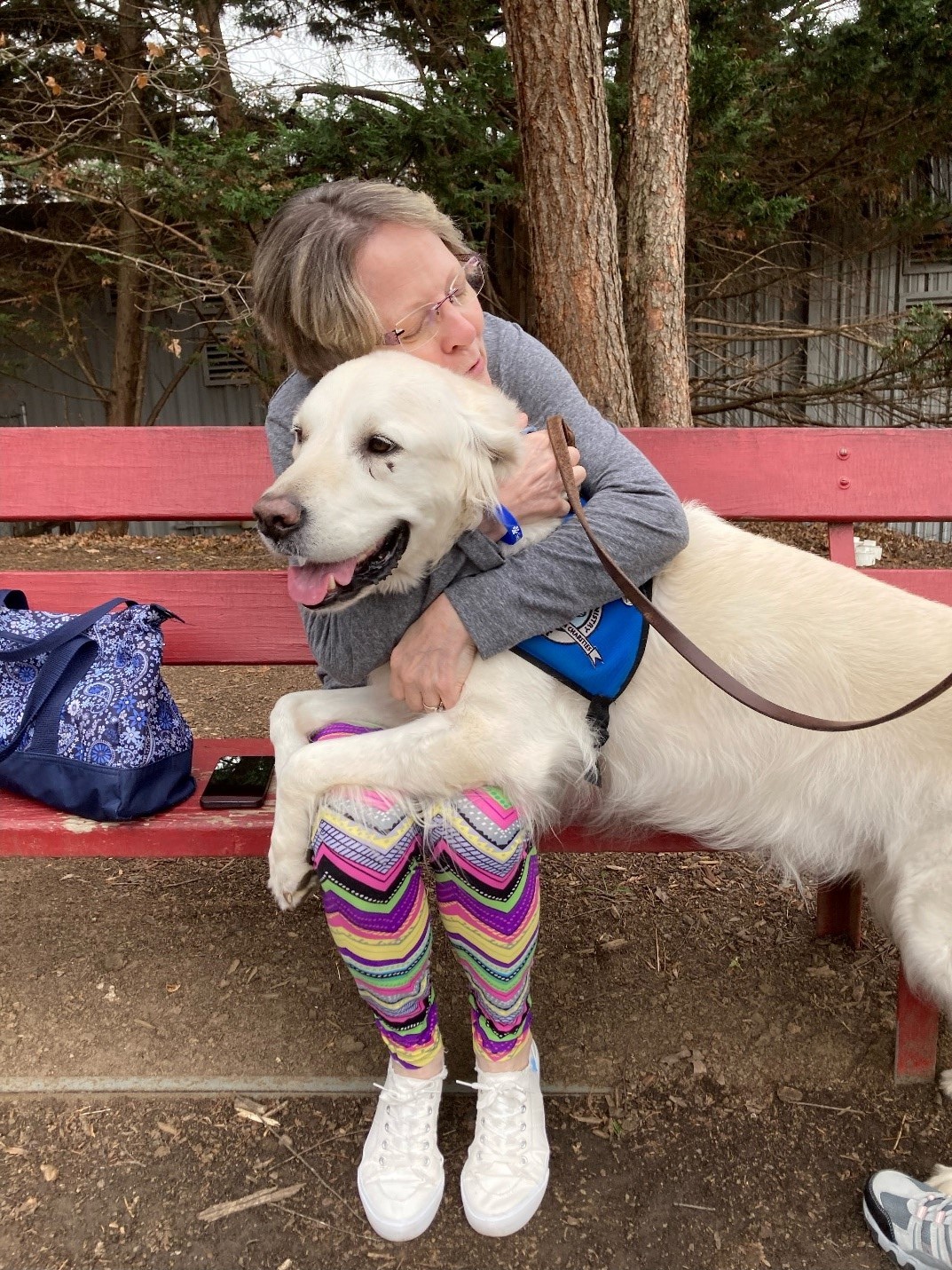 Comfort Dog Team 2 photo